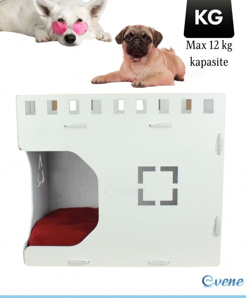 Ahşap Köpek Kulübesi Dekoratif Köpek Evi Beyaz Renk Küp Model